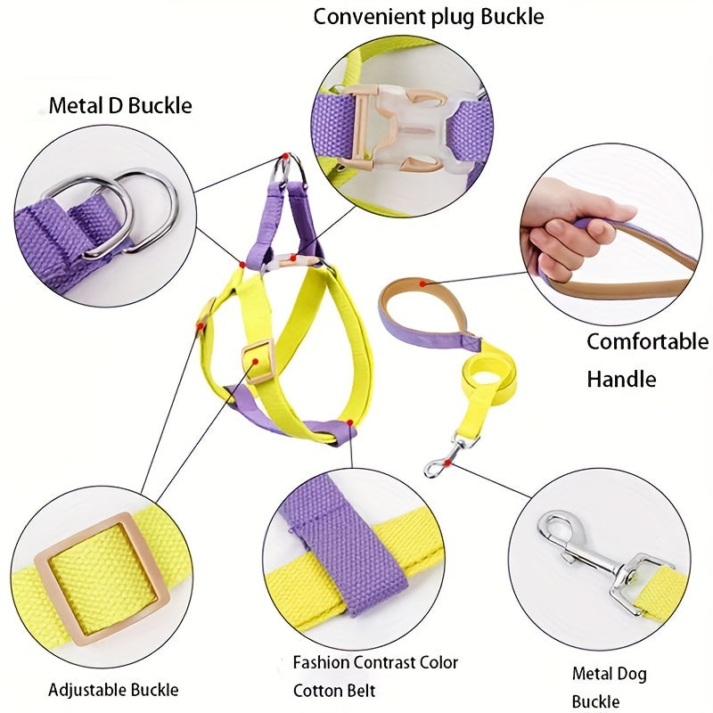 Discover the Joy of Walking Your Pet with Our Rainbow Colorblock Anti-Escape Pet Harness
